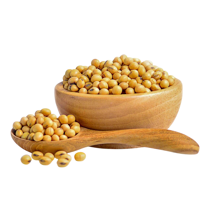 Soy Bean